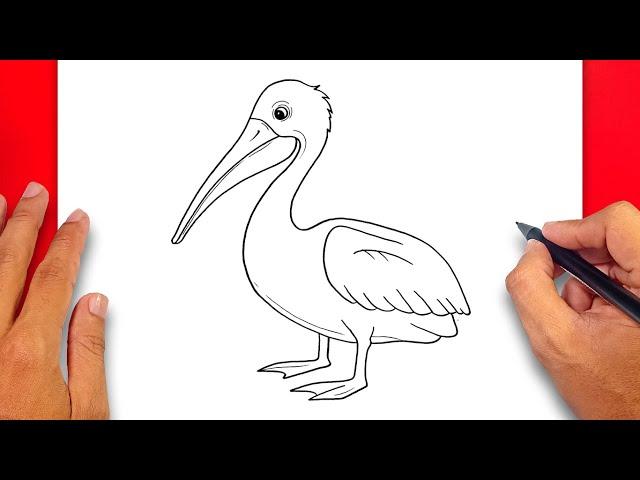 How to draw Pelican - Easy Drawing Pelican