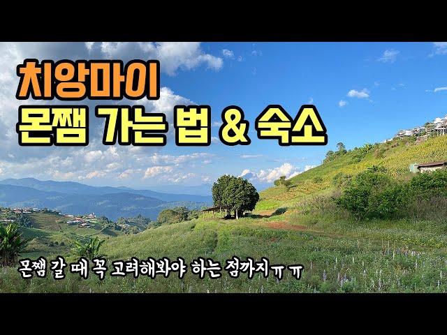 ️치앙마이 몬쨈에서 겨울을 느끼다! 150바트에 몬쨈 가는 법 & 숙소 후기