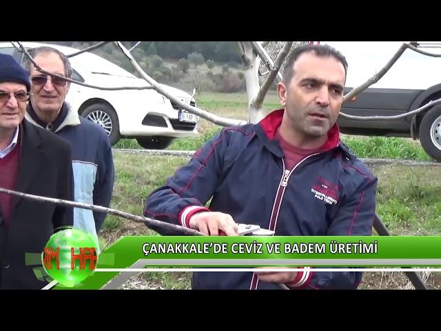 Çanakkale’de ceviz ve badem üretimi