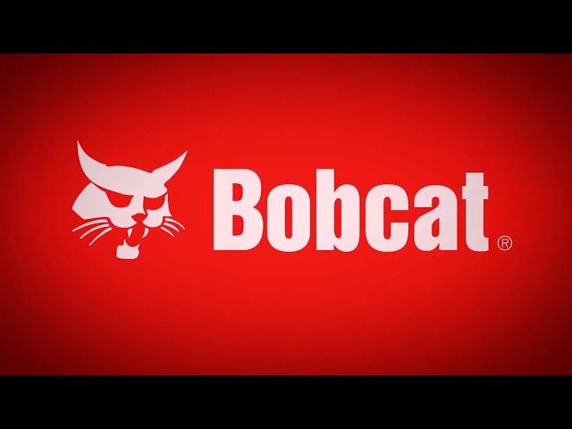 Bobcat Equipment   One Tough Animal