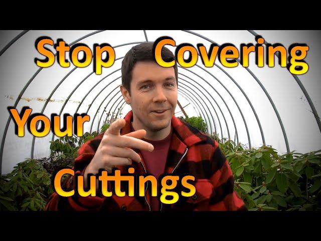 Stop Covering Your Hardwood Rooted Cuttings with a Propagation Frame for Higher Rooting Success