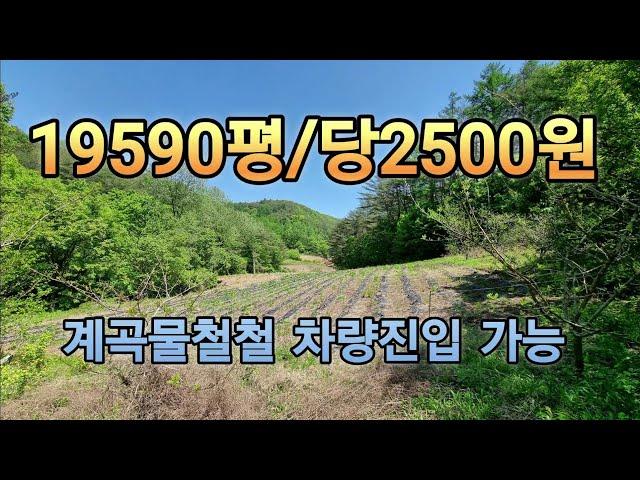 계곡물철철 19590평 완벽한땅 너무     급해 평당2500원 급매 가격절충가능