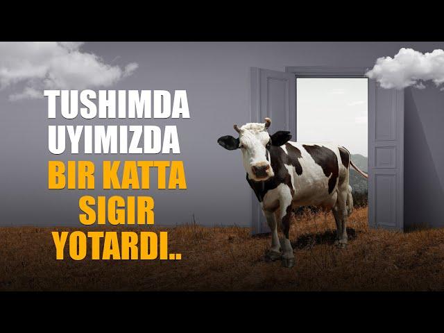 Tushda sigir ko'rish haqida | Ustoz Abdulloh Zufar