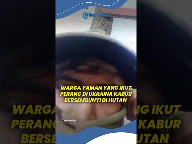 NGAKU STRES! Warga Yaman yang Ikut Perang di Ukraina Sembunyi di Hutan