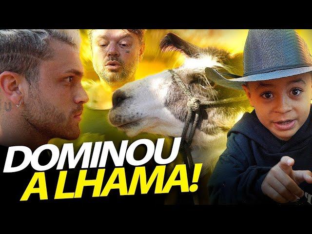 GUSTAVO TUBARÃO E ISAAC AMENDOIM ENCARANDO A LHAMA! | A CASA DOS BICHOS