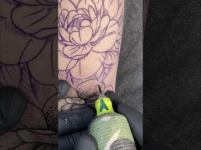 Whip Shading tattooing #tattoo #alexkonti #tattooartist #whipshadingtattoo #tattoostyle