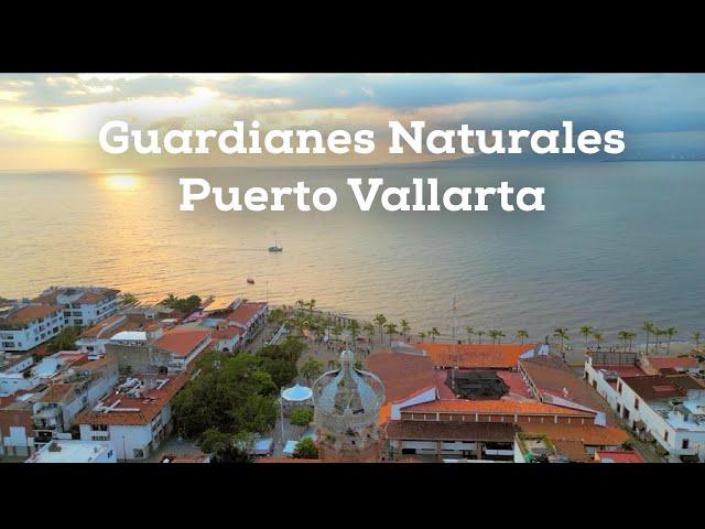 The natural guardians of Puerto Vallarta - Estero el Salado and Río Palo María