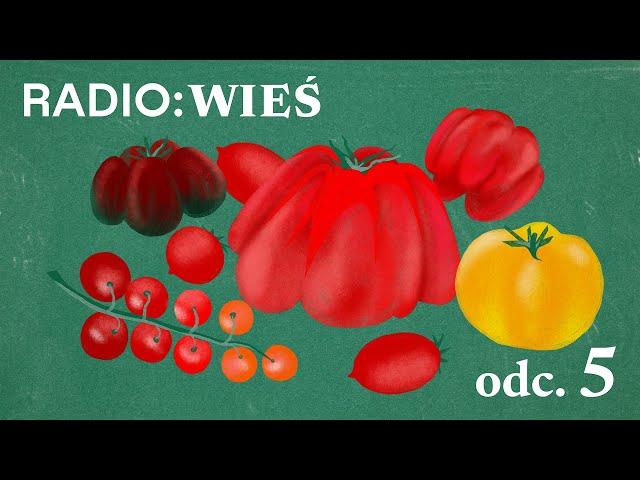 Radio Wieś: Zawrotny sukces pomidora