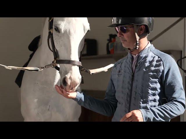 Barn Tour - Artemis Farms, Wellington