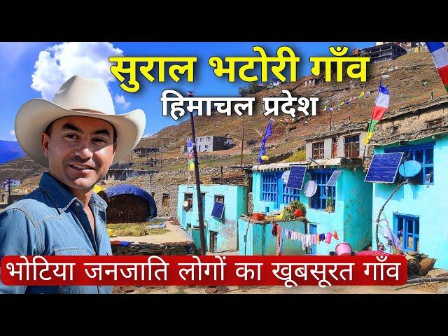 Village Life In Himachal Pradesh | Sural Bhatori Village Pangi Valley | Pahadi village Life Vlog