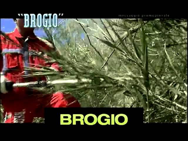 Testina Tagliante Brogio