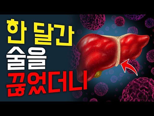 한 달간 '술을 끊으면' 우리몸에 나타나는 놀라운 변화