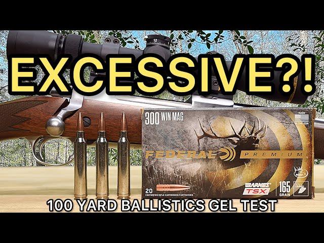 300 Winchester Magnum Barnes TSX Ballistics Gel Ammo Test