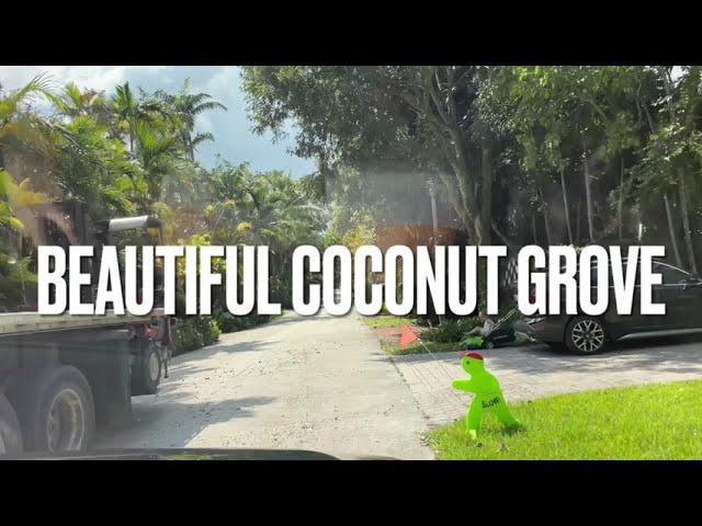 Driving Miami - Coconut Grove Residential Area