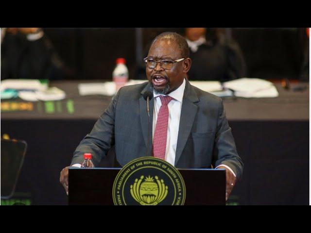 The Minister of Finance, Mr Enoch Godongwana tables the 2025 Budget in Parliament.