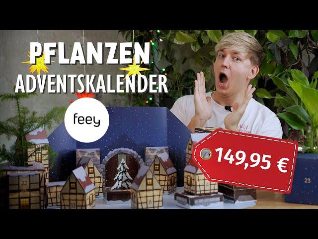 Den Hype wert?  Ich teste den FEEY Adventskalender für 150 €!