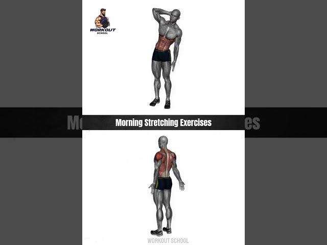 Morning Stretching Exercises At Home #workout