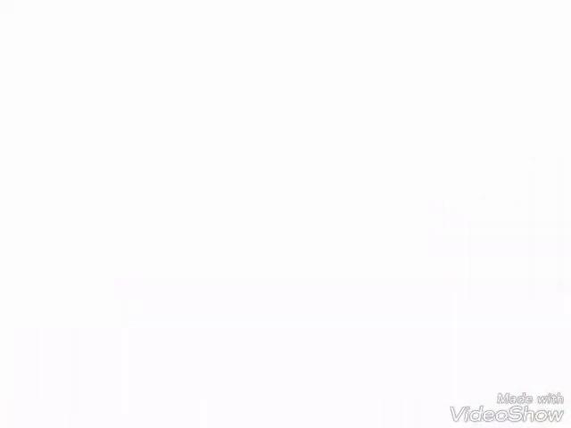 캠핑요리 /네이버 부산댁/짜글이 ...