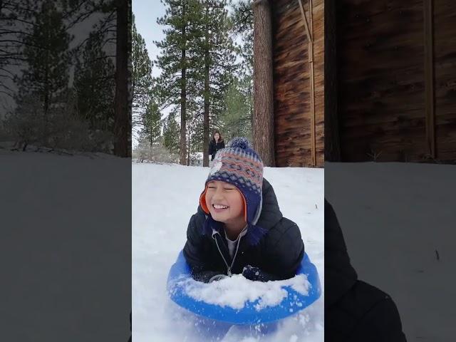 #sledding #sleddingfun #sleddingbabies #bigbearlake #funny #snow #snowfun