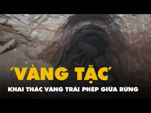 Cận cảnh hầm khai thác vàng trái phép giữa rừng, 'vàng tặc' vừa tẩu thoát