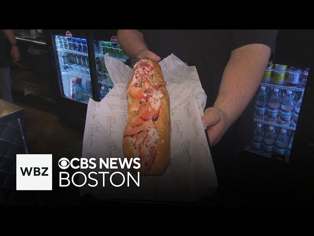 Boston sub shop sells massive lobster rolls for $11 for a limited time