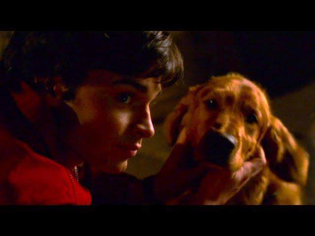 Smallville || Krypto 4x14 (Clois) || Lois Finds Clark a Stray Super Dog [HD]