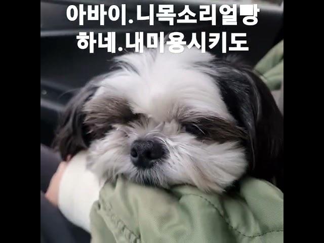 꼬질꼬질심술난토리