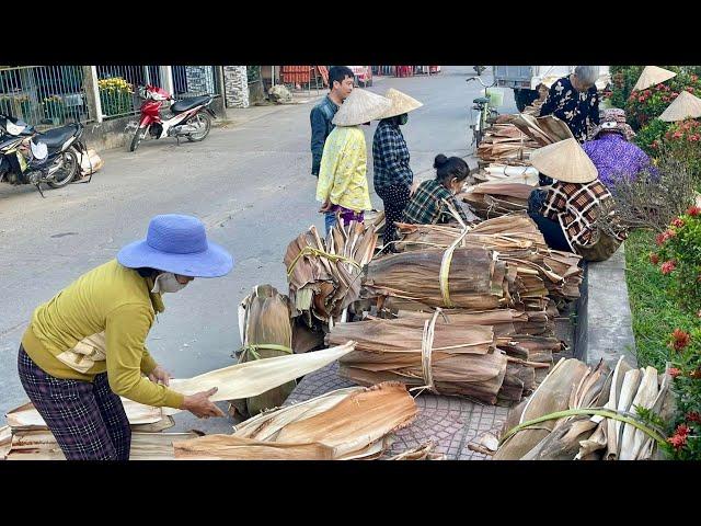 Không ngờ thứ bỏ đi lại thu lại tiền tỷ | Khám Phá Vùng Quê