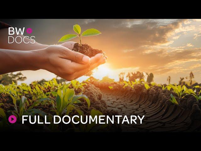 The Harsh Realities of Climate Change and Inequality | This Good Earth | Full Documentary