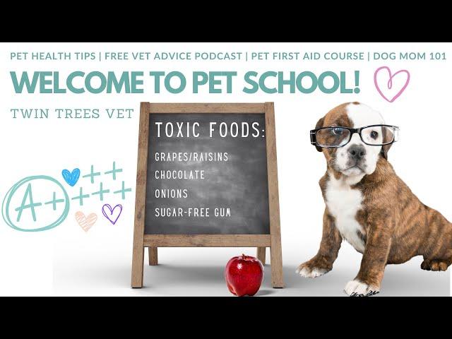 WELCOME TO THE PET CLASSROOM:  PET HEALTH TIPS│ PODCAST │ ER PROCEDURES AND MORE!