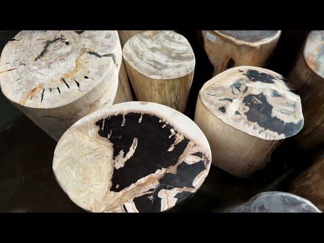 Petrified Wood Stump Stools at Design MIX 