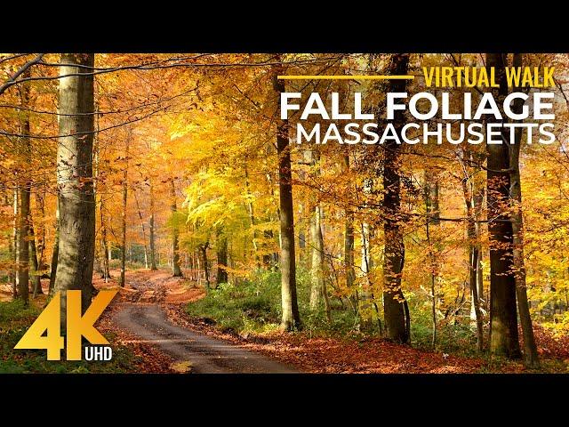 4K Scenic Fall Foliage Colors of Massachusetts Forest - Relaxing Walk on Keystone Arch Bridges Trail