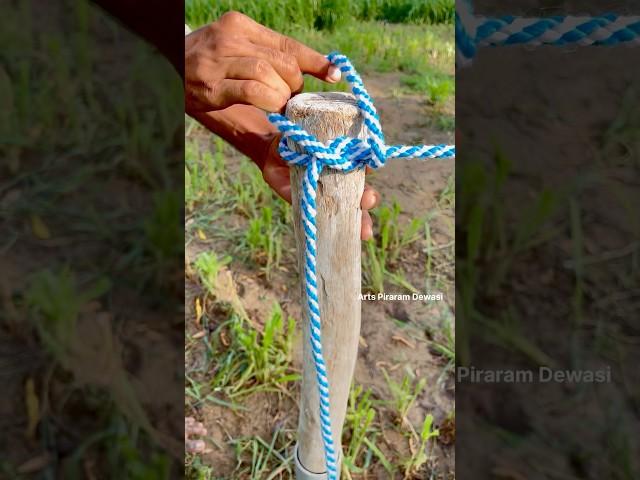 The easy way to tie wood stakes with rope skills. #knot #lifehacks