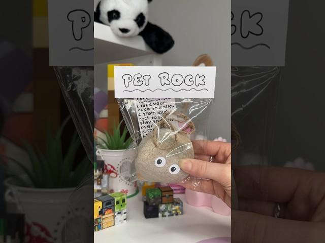 DIY pet rock using my Pebble KIT!