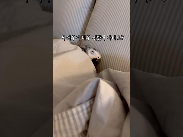 까꿍해주시는 김루이 ️