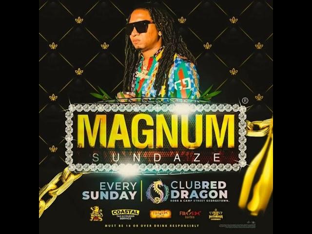 MAGNUM SUNDAZE PROMOTIONAL AUDIO(DJ MAGNUM & SELECTOR SHORTBOSS)