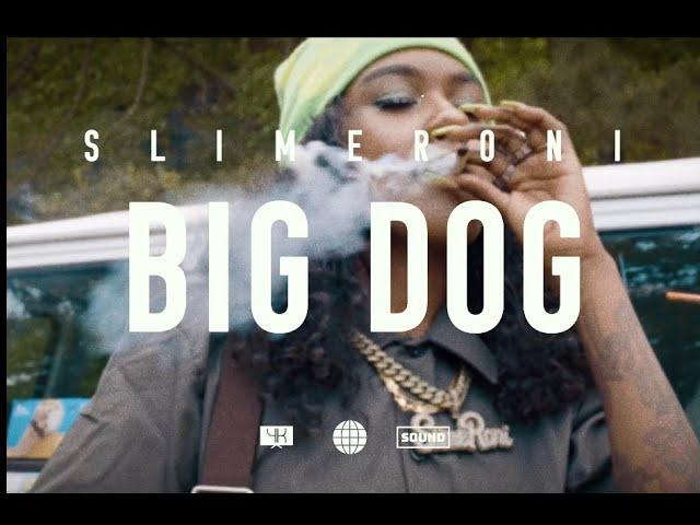 BIGDOG VIDEO