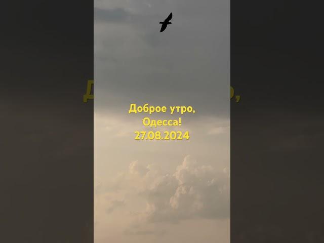 Доброе утро,Одесса!27.08.202 #море #одесса #live #odessa #2024 #пляж #лето