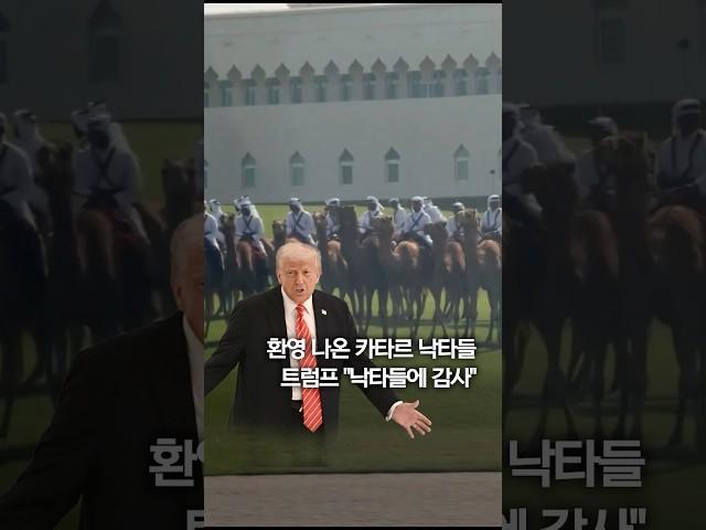 낙타도 말도 환영나온 트럼프의 카타르 방문..."낙타들에 감사" #shorts