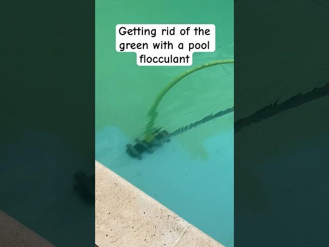 Pool Flocculant - Green to Blue when a pool shock just won’t do it. Full video linked!