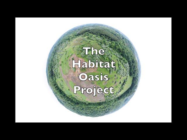 #34 Habitat Oasis Project Overview - Transforming an 80 acre strip mine back to native habitat