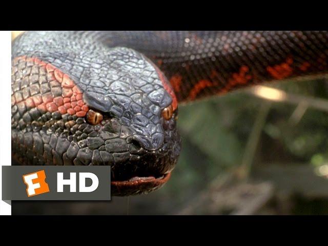 Anaconda (8/8) Movie CLIP - Swallowed Whole (1997) HD