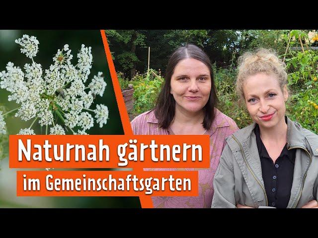 Naturnah gärtnern im Gemeinschaftsgarten | MDR Garten