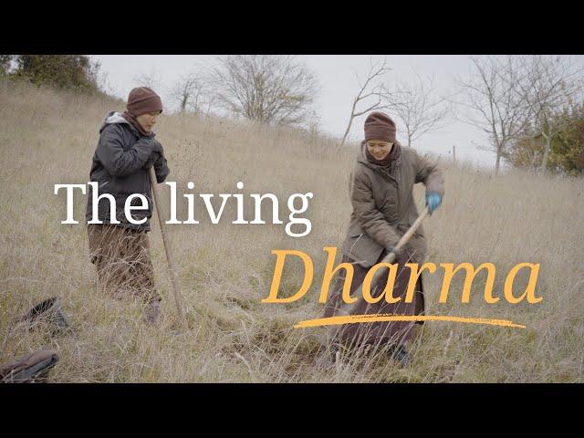 The Living Dharma | Teachings by Thich Nhat Hanh