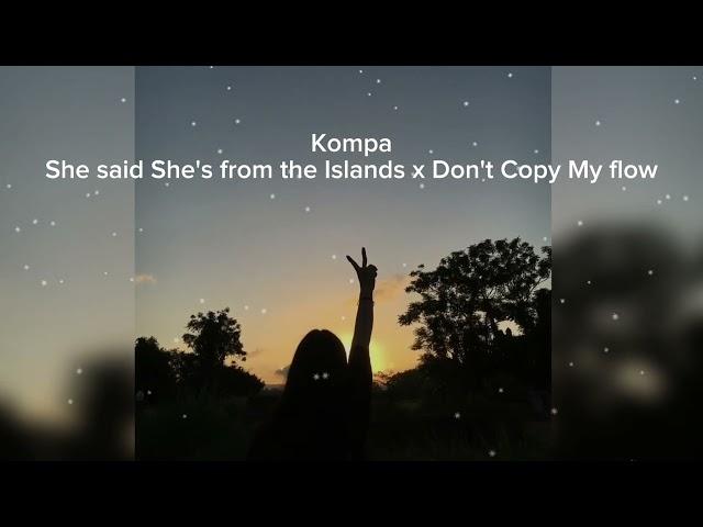 [1 Hour Loop] | She Said She's from the Islands x Don't Copy My Flow [TikTok Slowed + Reverb]