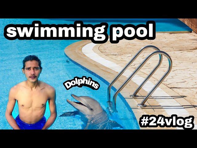 swimming pool ‍️ and Dolphins  || #youtube #public #world #india #swimmingpool #dolphins #24vlog