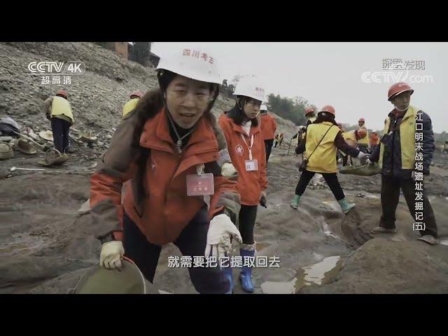 一锄下去刨出一千枚钱币 惊喜再现大顺通宝现身 这竟是张献忠政权的官银——江口明末战场考古大揭秘《考古进行时》| 中华国宝