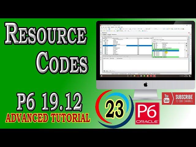 How to Create and Assign Resource Codes  | Primavera P6 | 19.12 | Advanced Tutorial