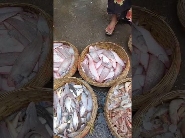 Fishy Flavours of Versova Koliwada #fishing #market #travel #old #new #subscribe #reels #shorts