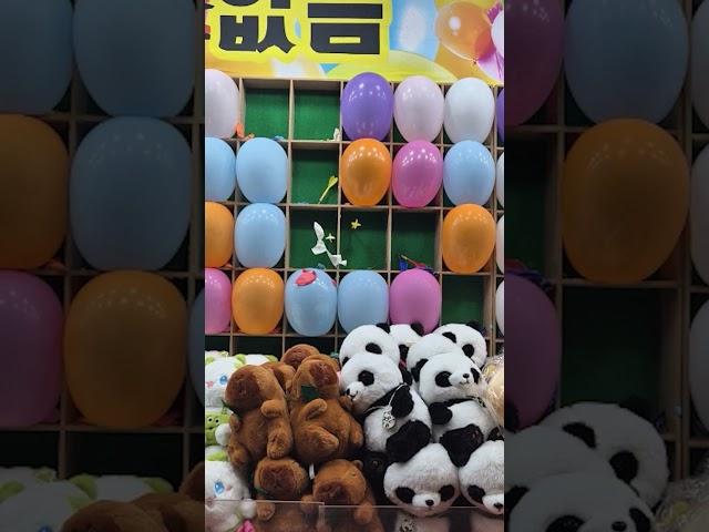 풍기 소백산 산신제 풍선 터트리기 #Shorts
